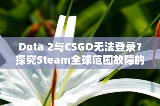 Dota 2与CSGO无法登录？探究Steam全球范围故障的背后原因