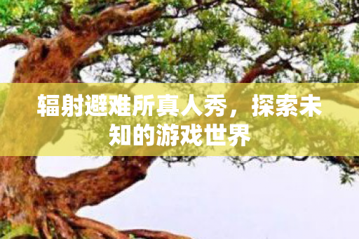 辐射避难所真人秀，探索未知的游戏世界