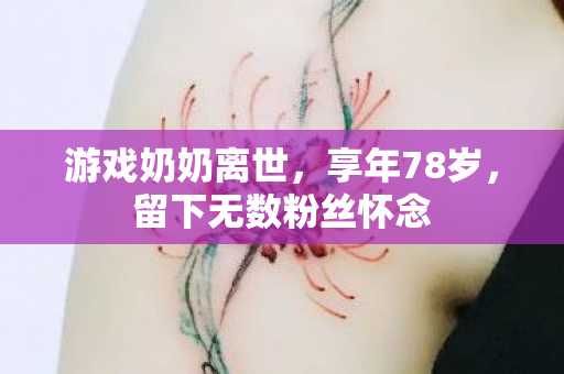 游戏奶奶离世，享年78岁，留下无数粉丝怀念