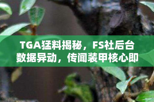 TGA猛料揭秘，FS社后台数据异动，传闻装甲核心即将迎来大动作