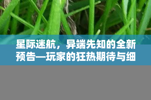 星际迷航，异端先知的全新预告—玩家的狂热期待与细致脑补