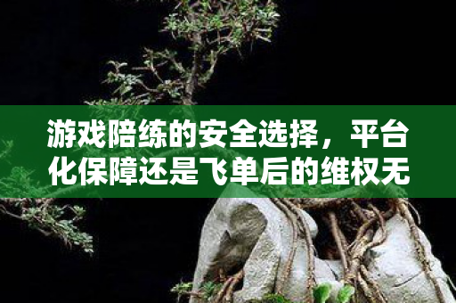 游戏陪练的安全选择，平台化保障还是飞单后的维权无门？