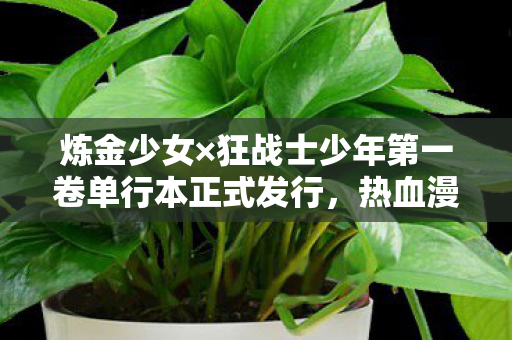 炼金少女×狂战士少年第一卷单行本正式发行，热血漫画掀起新篇章！