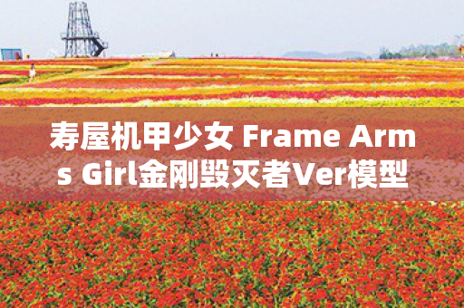 寿屋机甲少女 Frame Arms Girl金刚毁灭者Ver模型，钢铁巨人的魅力展现
