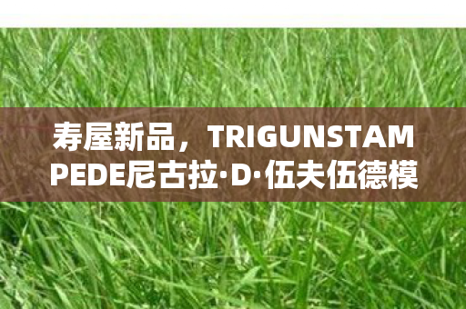寿屋新品，TRIGUNSTAMPEDE尼古拉·D·伍夫伍德模型—收藏家们的翘首期待