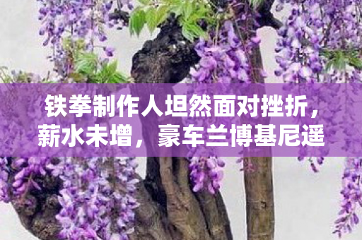 铁拳制作人坦然面对挫折，薪水未增，豪车兰博基尼遥不可及的反思