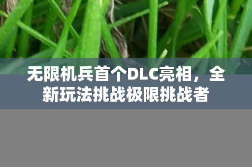 无限机兵首个DLC亮相，全新玩法挑战极限挑战者