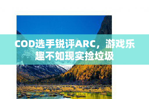 COD选手锐评ARC，游戏乐趣不如现实捡垃圾