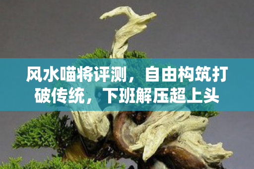 风水喵将评测，自由构筑打破传统，下班解压超上头