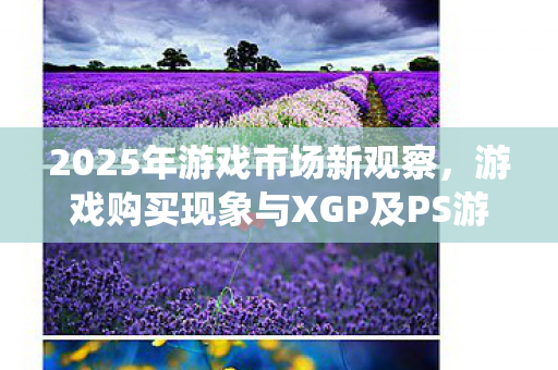 2025年游戏市场新观察，游戏购买现象与XGP及PS游戏价值统计
