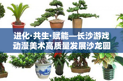 进化·共生·赋能—长沙游戏动漫美术高质量发展沙龙圆满落幕