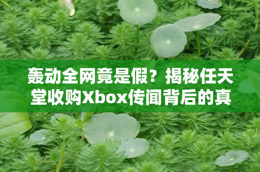 轰动全网竟是假？揭秘任天堂收购Xbox传闻背后的真相引爆社交媒体热议