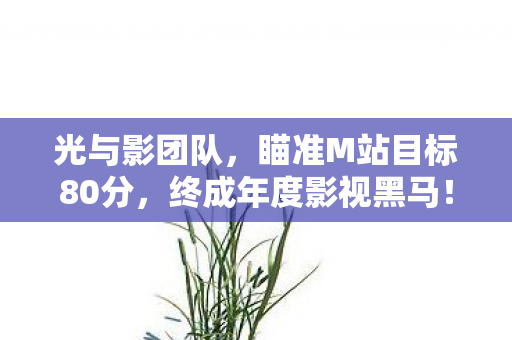 光与影团队，瞄准M站目标80分，终成年度影视黑马！