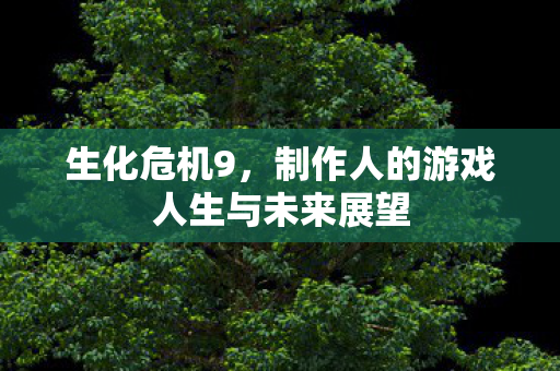 生化危机9，制作人的游戏人生与未来展望