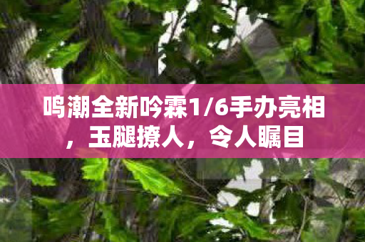 鸣潮全新吟霖1/6手办亮相，玉腿撩人，令人瞩目