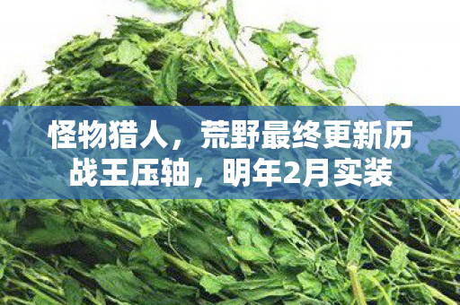 怪物猎人，荒野最终更新历战王压轴，明年2月实装