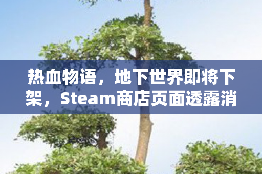 热血物语，地下世界即将下架，Steam商店页面透露消息
