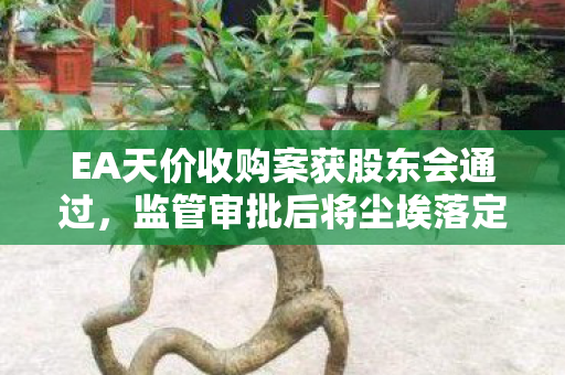 EA天价收购案获股东会通过，监管审批后将尘埃落定