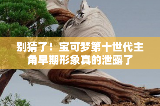 别猜了！宝可梦第十世代主角早期形象真的泄露了