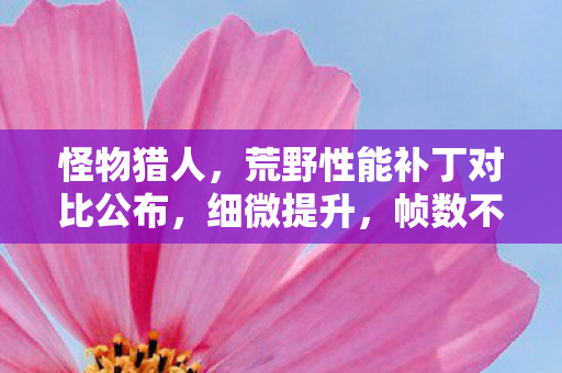 怪物猎人，荒野性能补丁对比公布，细微提升，帧数不足十帧