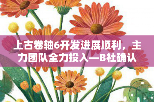 上古卷轴6开发进展顺利，主力团队全力投入—B社确认