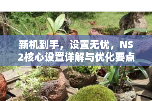 新机到手，设置无忧，NS2核心设置详解与优化要点指南