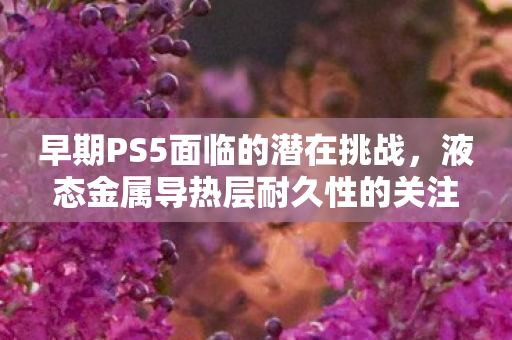 早期PS5面临的潜在挑战，液态金属导热层耐久性的关注