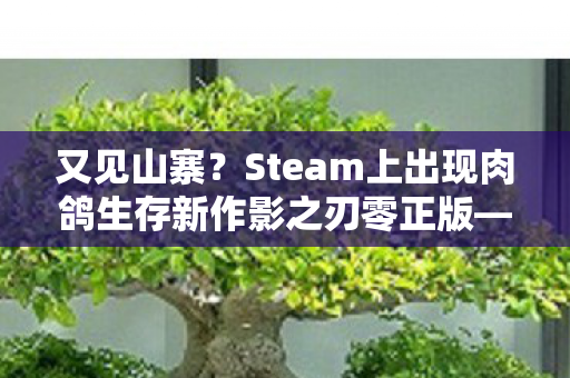 又见山寨？Steam上出现肉鸽生存新作影之刃零正版—深度解析与对比