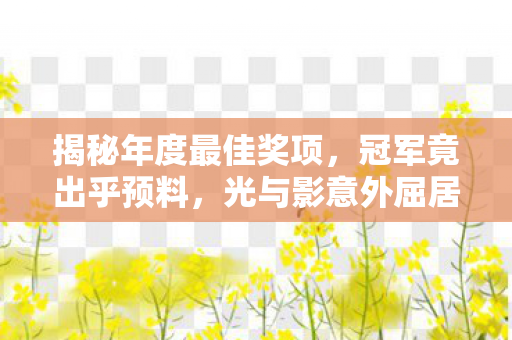 揭秘年度最佳奖项，冠军竟出乎预料，光与影意外屈居第二