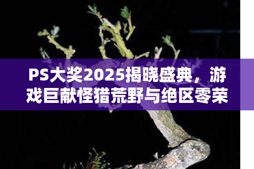PS大奖2025揭晓盛典，游戏巨献怪猎荒野与绝区零荣获最高殊荣
