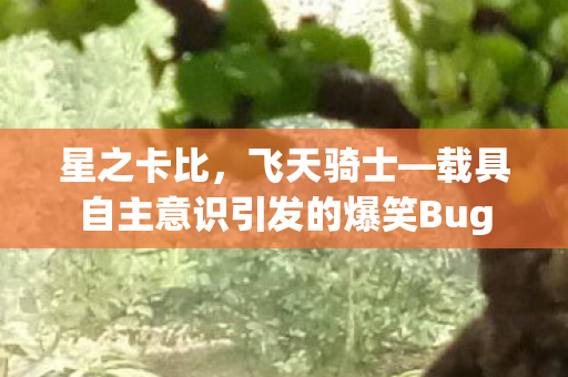 星之卡比，飞天骑士—载具自主意识引发的爆笑Bug