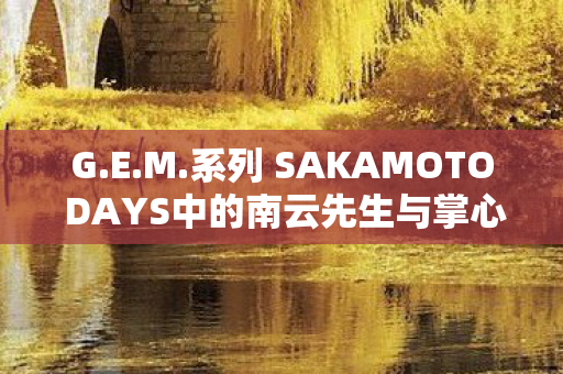G.E.M.系列 SAKAMOTO DAYS中的南云先生与掌心尺寸模型