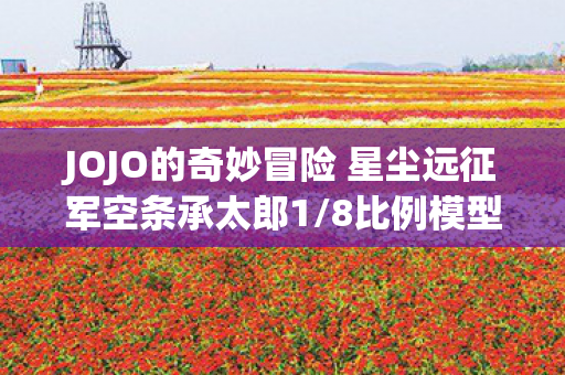 JOJO的奇妙冒险 星尘远征军空条承太郎1/8比例模型的魅力与收藏价值