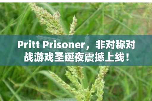 Pritt Prisoner，非对称对战游戏圣诞夜震撼上线！
