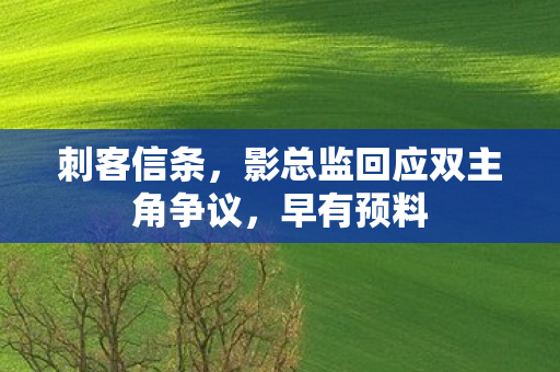 刺客信条，影总监回应双主角争议，早有预料