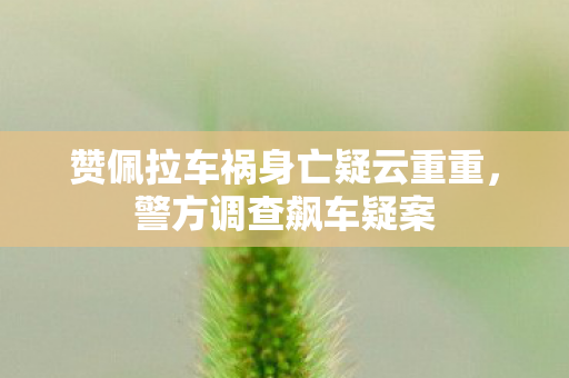 赞佩拉车祸身亡疑云重重，警方调查飙车疑案