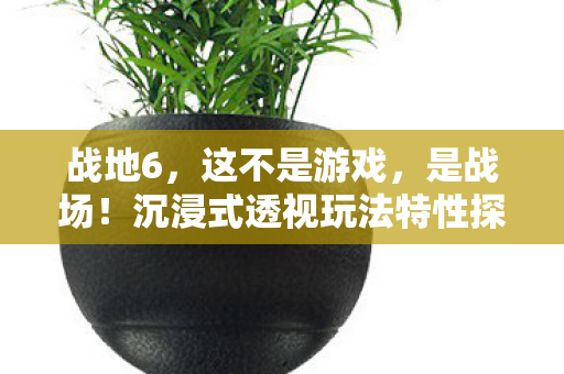 战地6，这不是游戏，是战场！沉浸式透视玩法特性探究
