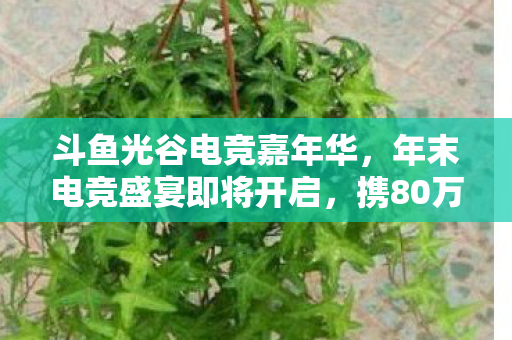 斗鱼光谷电竞嘉年华，年末电竞盛宴即将开启，携80万奖金火热来袭！