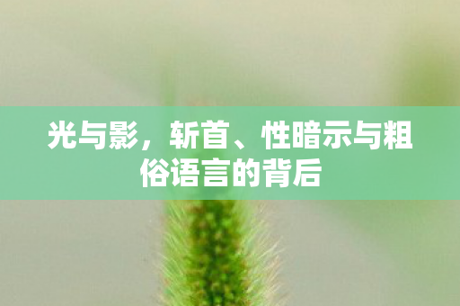 光与影，斩首、性暗示与粗俗语言的背后