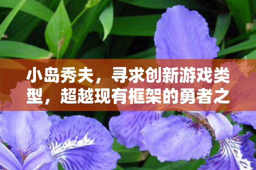 小岛秀夫，寻求创新游戏类型，超越现有框架的勇者之旅