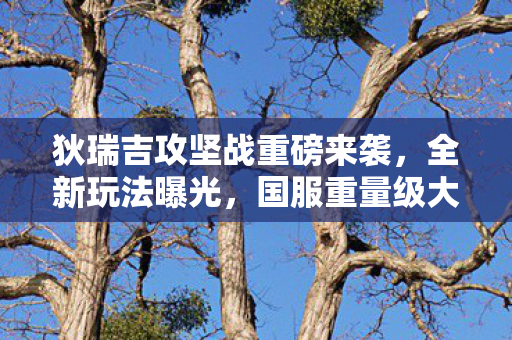 狄瑞吉攻坚战重磅来袭，全新玩法曝光，国服重量级大奖揭晓！