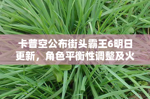 卡普空公布街头霸王6明日更新，角色平衡性调整及火舞新动向揭秘