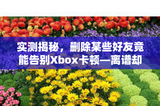 实测揭秘，删除某些好友竟能告别Xbox卡顿—离谱却有用的操作！