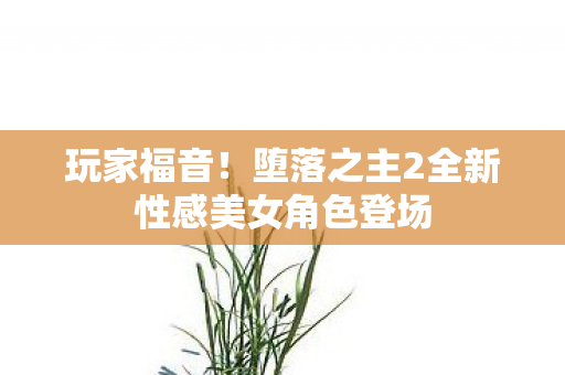 玩家福音！堕落之主2全新性感美女角色登场