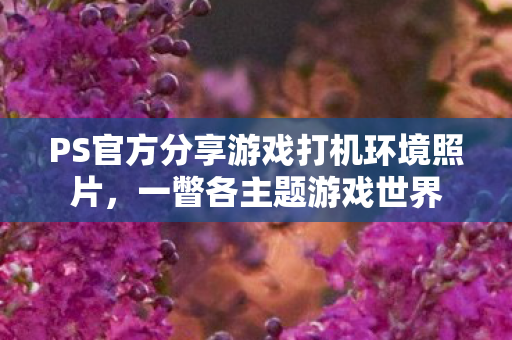 PS官方分享游戏打机环境照片，一瞥各主题游戏世界