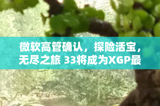 微软高管确认，探险活宝，无尽之旅 33将成为XGP最大第三方发布之一，预计于XXXX年亮相