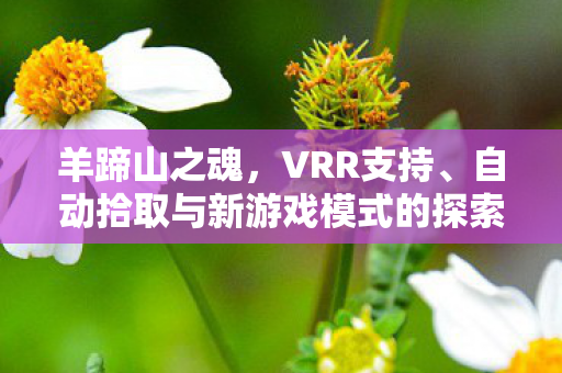 羊蹄山之魂，VRR支持、自动拾取与新游戏模式的探索