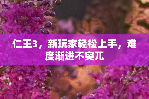 仁王3，新玩家轻松上手，难度渐进不突兀