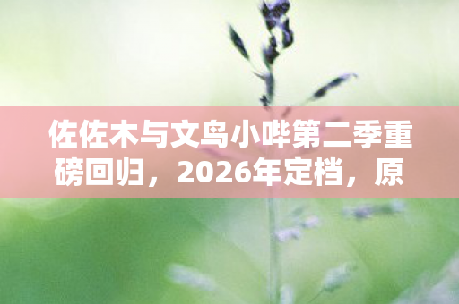 佐佐木与文鸟小哔第二季重磅回归，2026年定档，原班人马续写传奇！