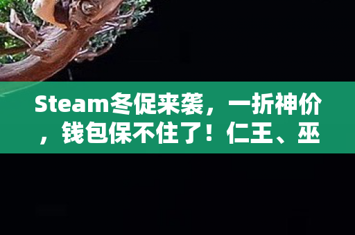 Steam冬促来袭，一折神价，钱包保不住了！仁王、巫师3等大作悉数登场